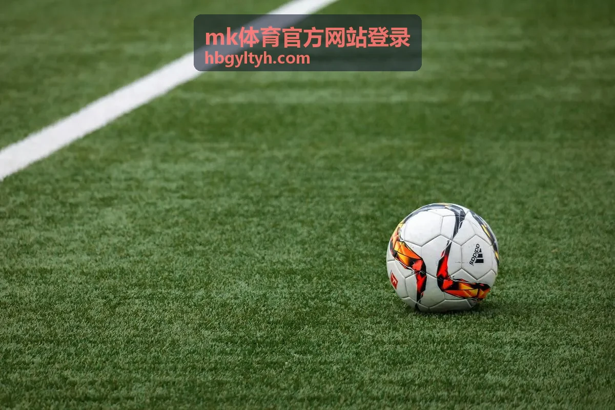 mk体育官方网站登录登录异常与加载缓慢排查